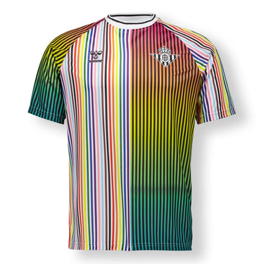Camiseta Equality Hombre Multicolor