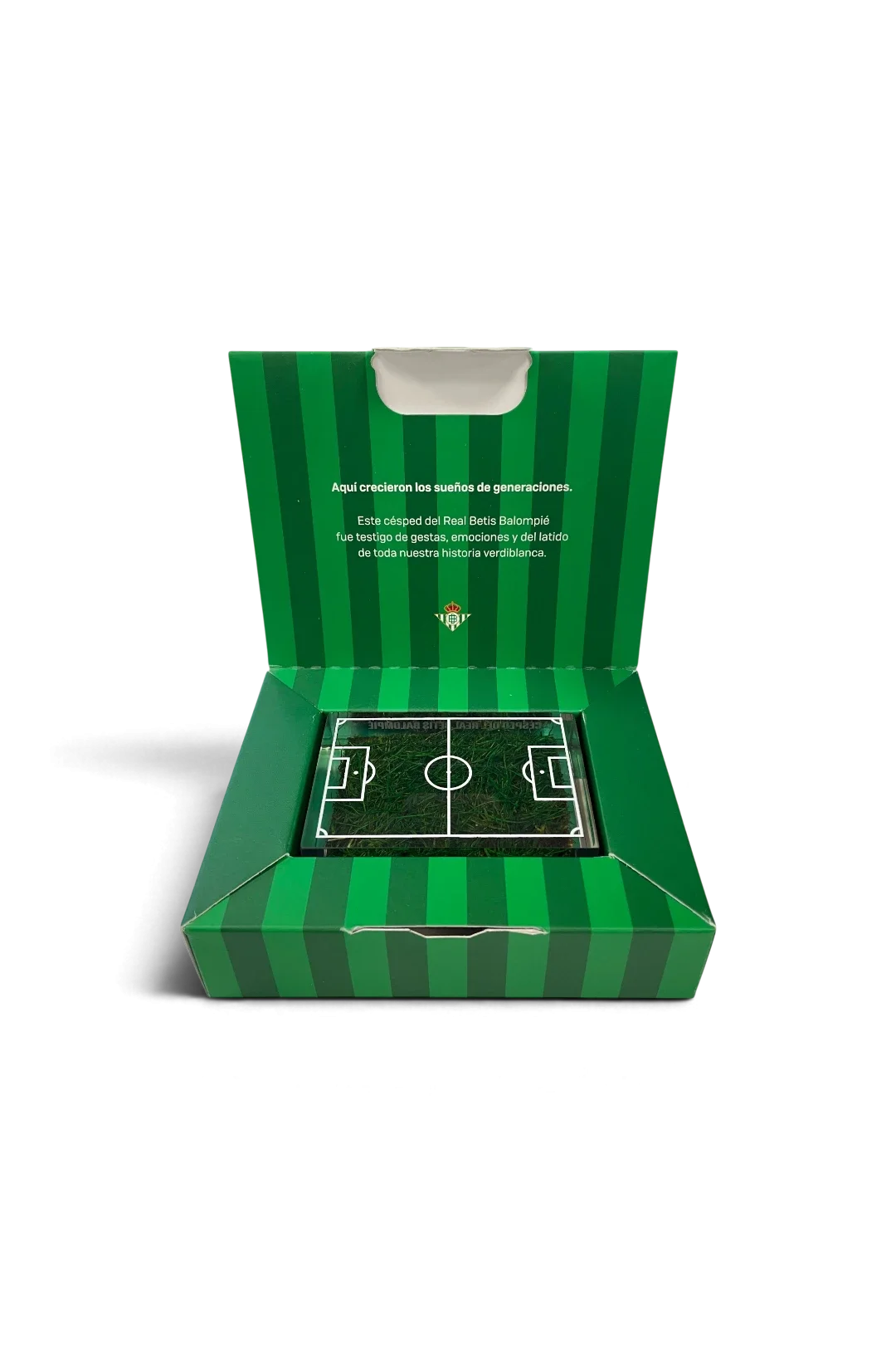 Césped de Metacriltato Real Betis Balompié