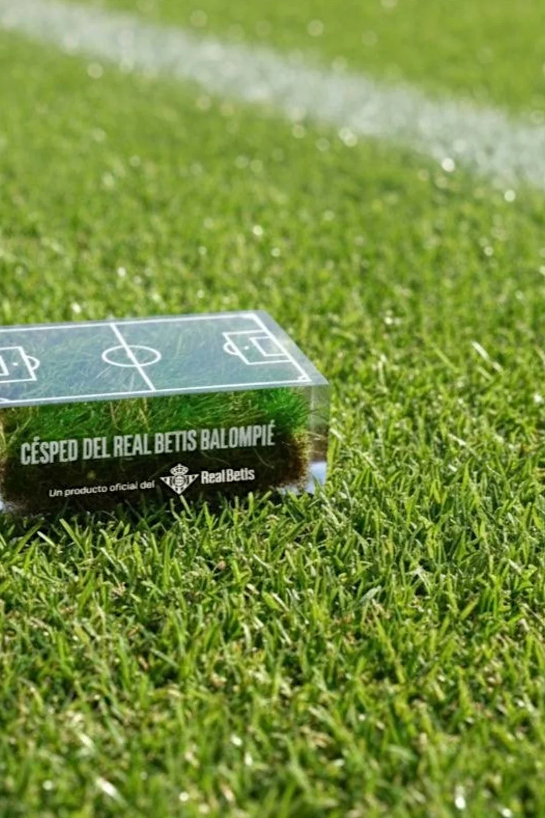 Césped de Metacriltato Real Betis Balompié