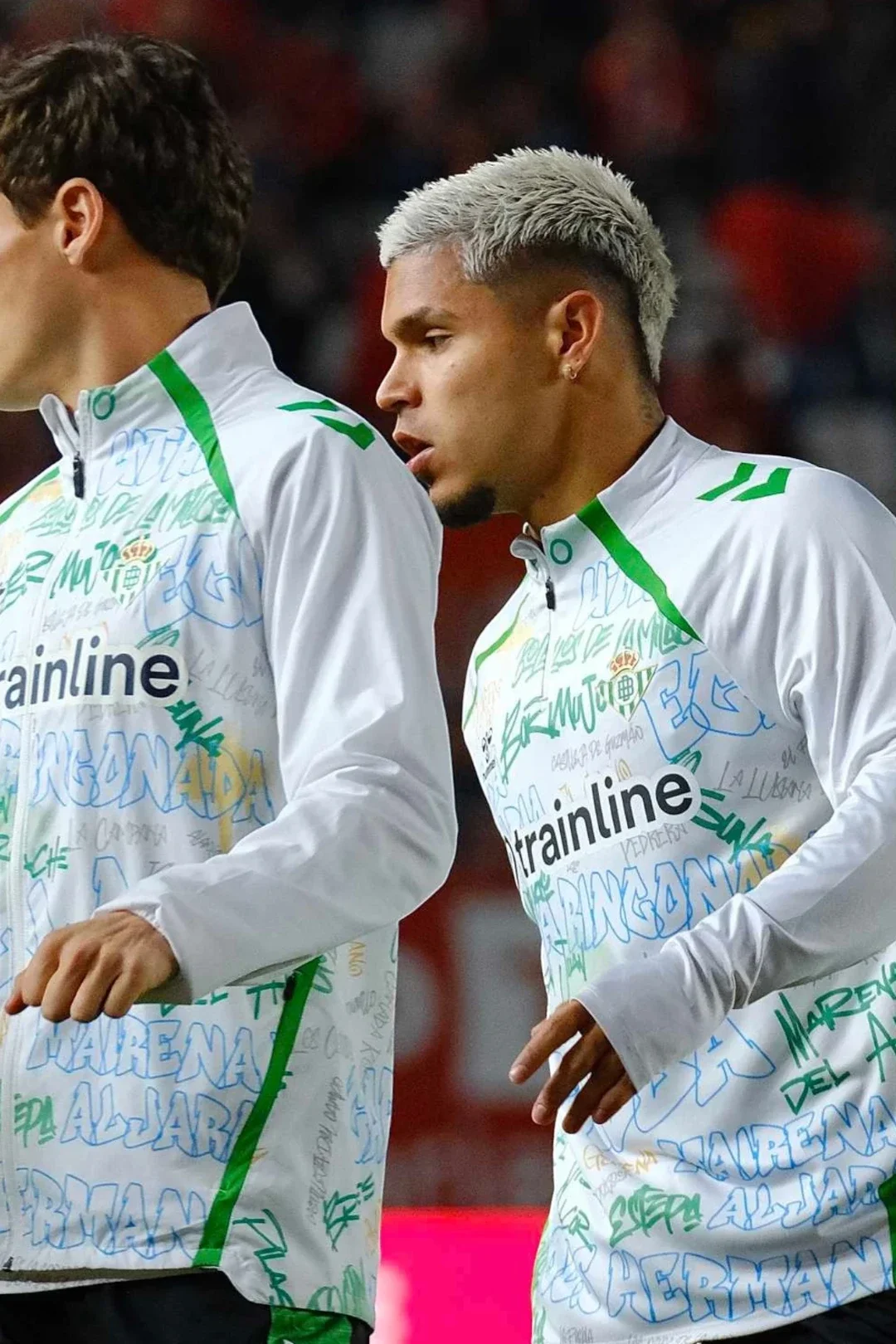 Chaqueta Real Betis Pre Partido Cremallera Adulto 25/26