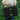Cartera extraescolares Real Betis 26/27