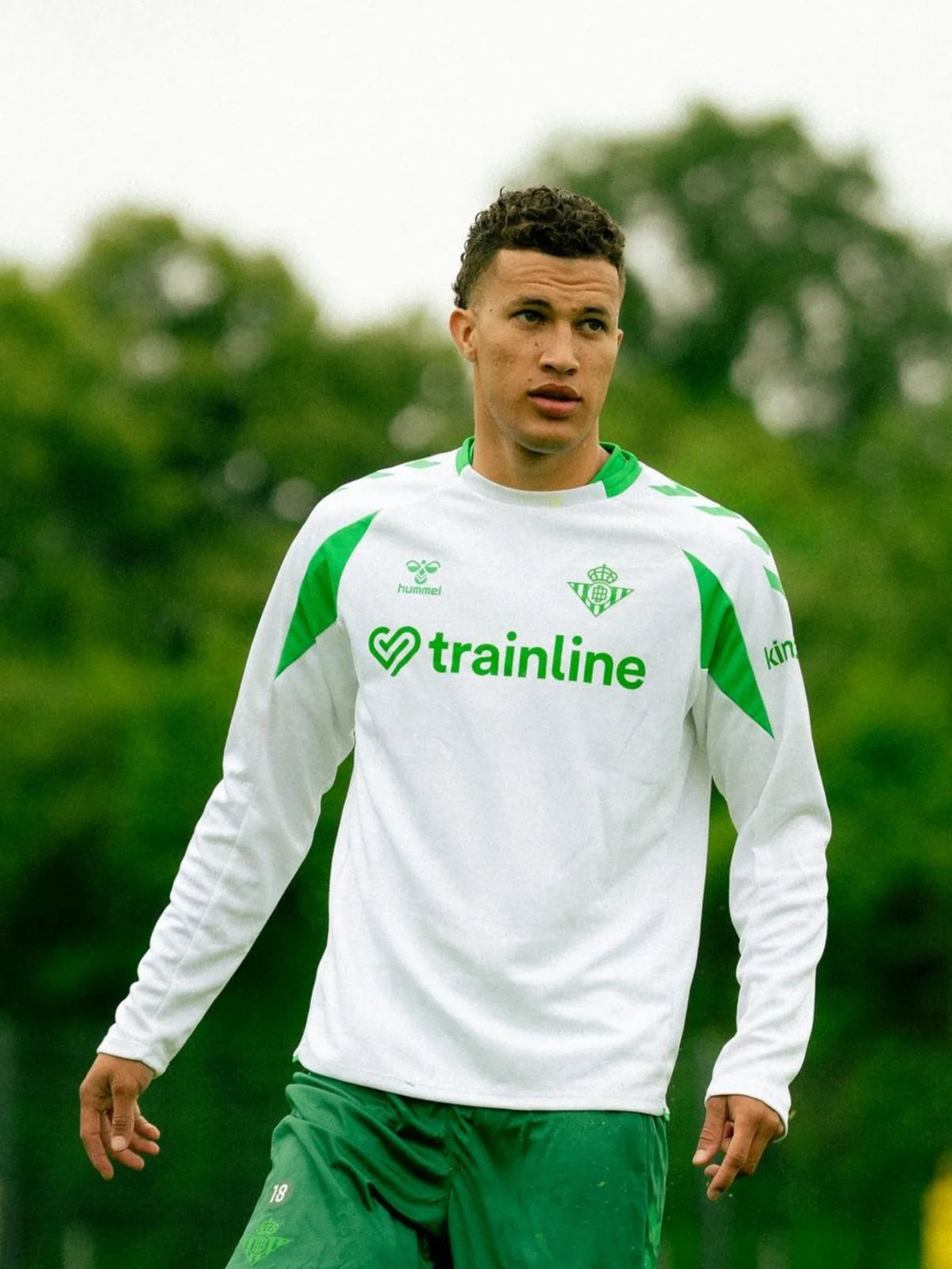 Sudadera Entrenamiento Adulto Blanca Real Betis 26/27