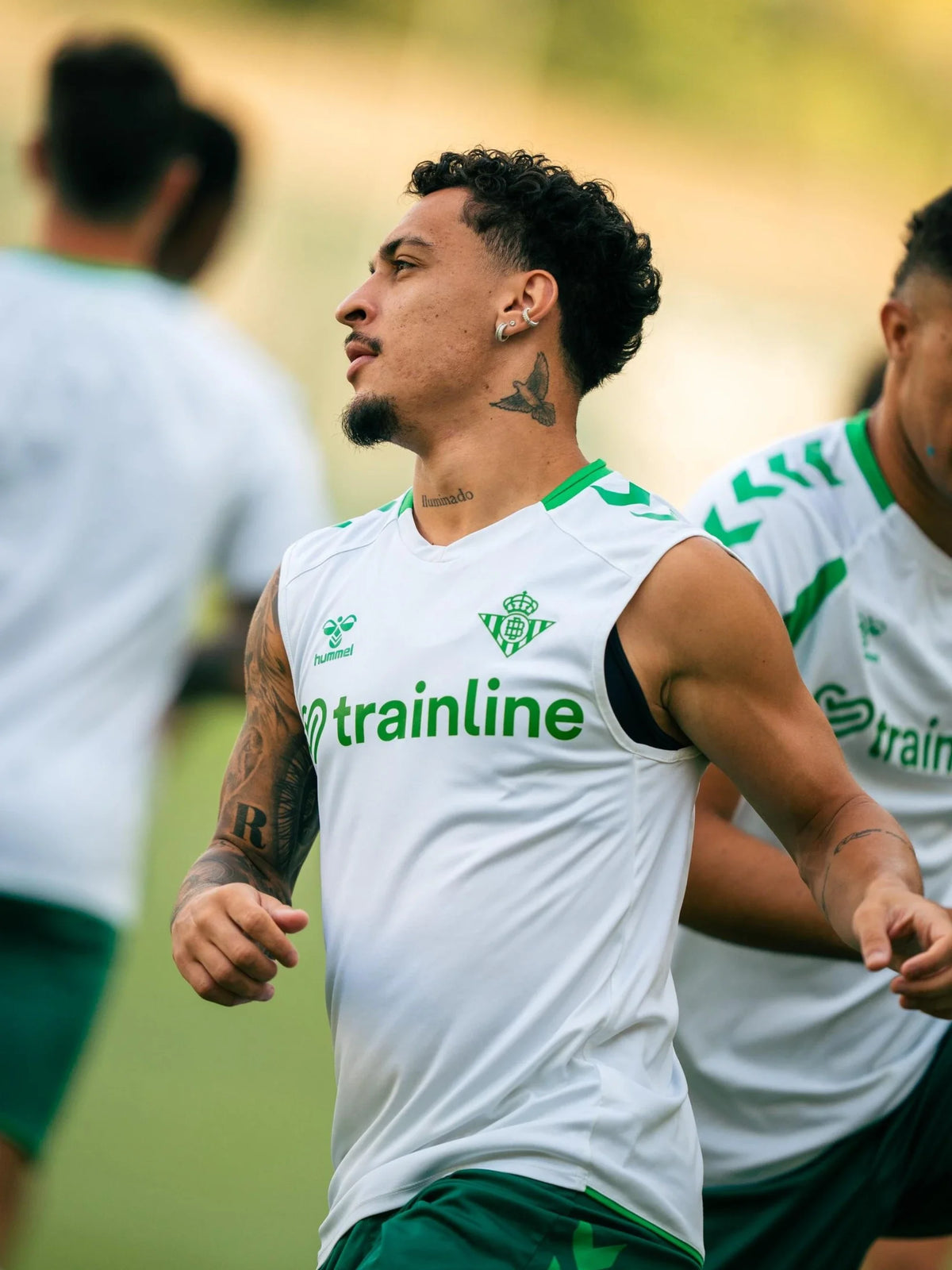 Camiseta Sin Mangas Entrenamiento Adulto Blanca Real Betis 26/27