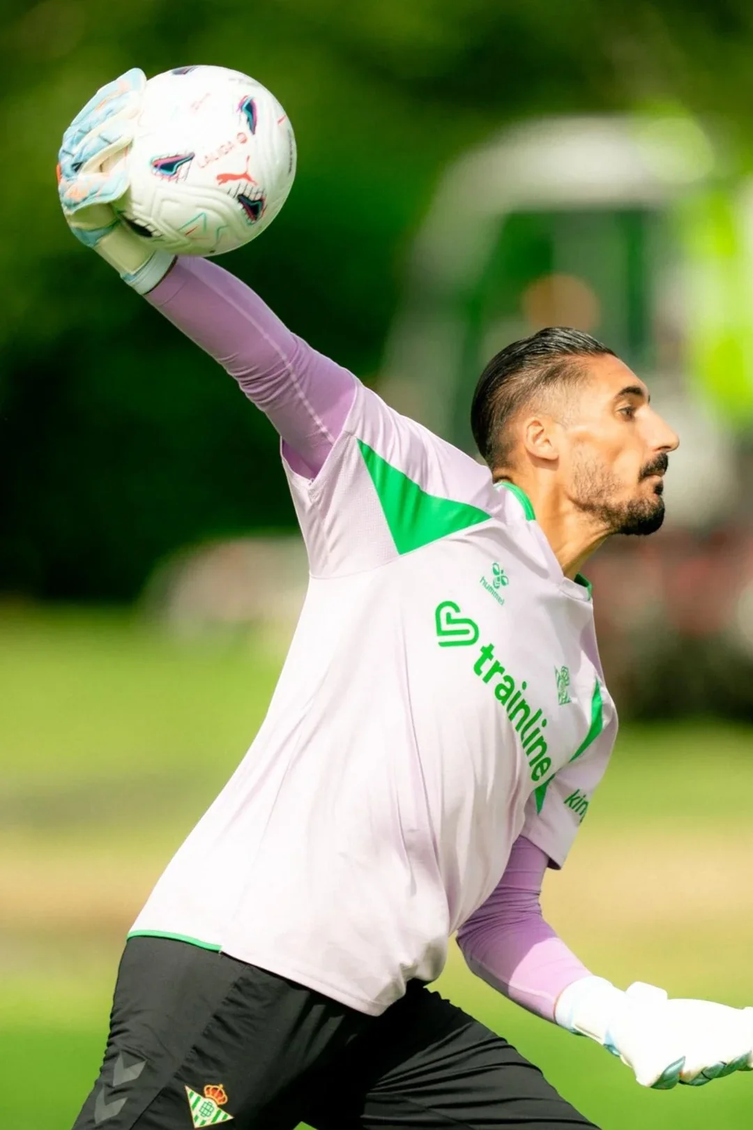 Camiseta Manga Corta Entrenamiento Adulto Malva Real Betis 26/27