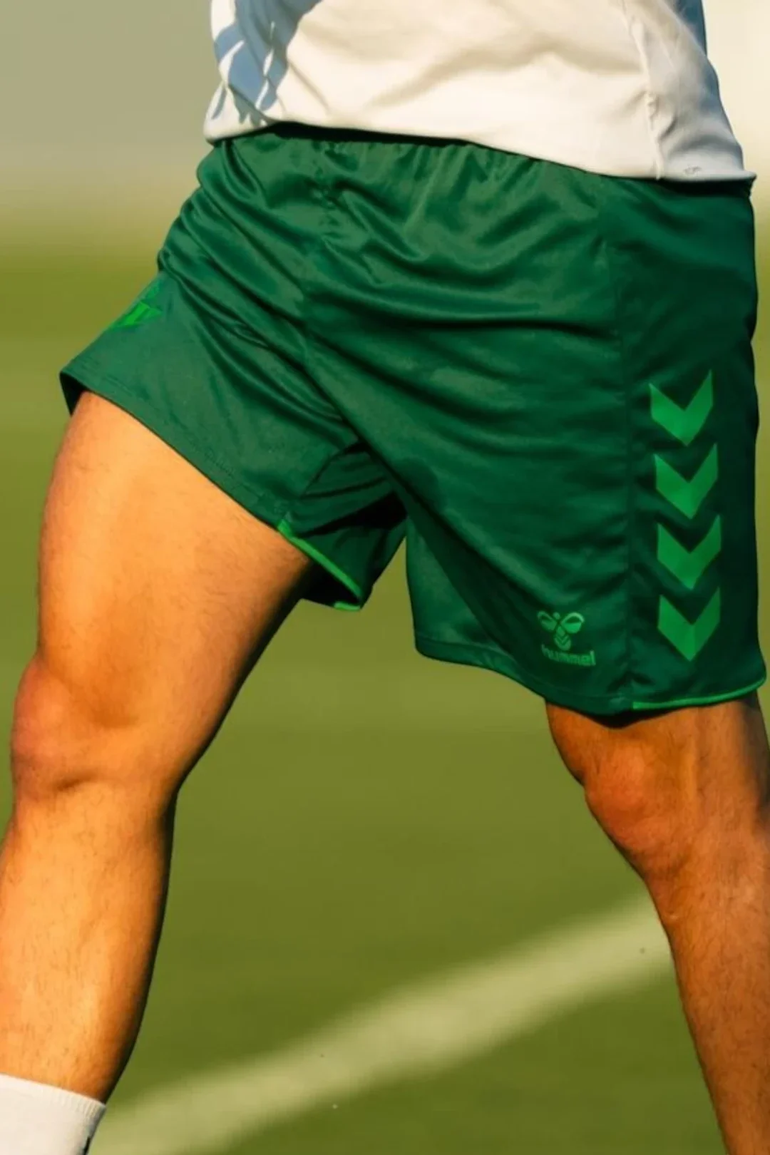 Pantalón Corto Entrenamiento Adulto Verde Real Betis 26/27