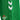 Pantalón Corto Viaje Verde Rayas Real Betis 26/27