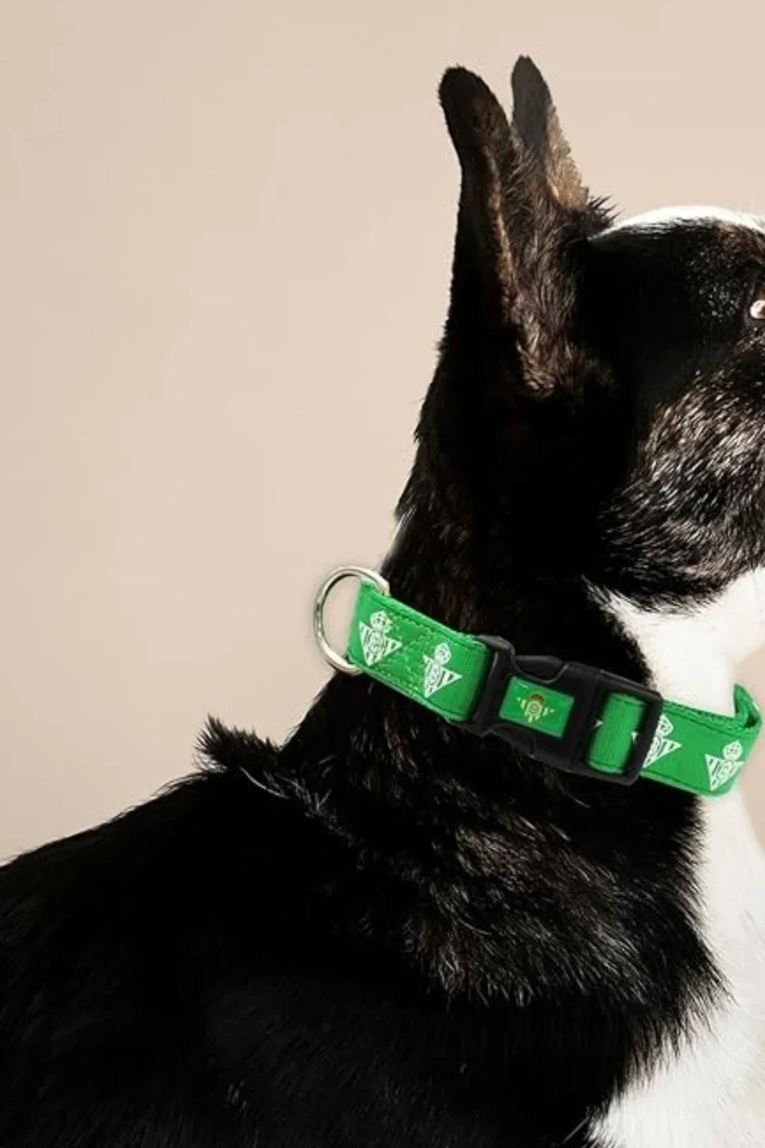 Collar para Perro Real Betis