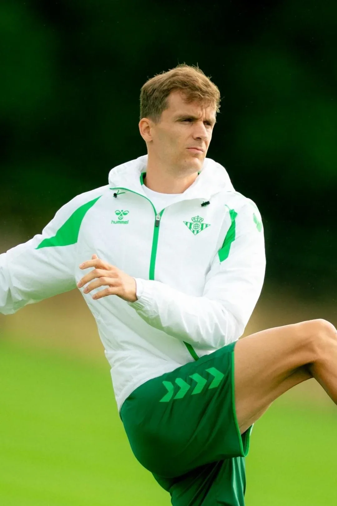 Chaqueta Cremallera Entrenamiento Adulto Blanca Real Betis 26/27