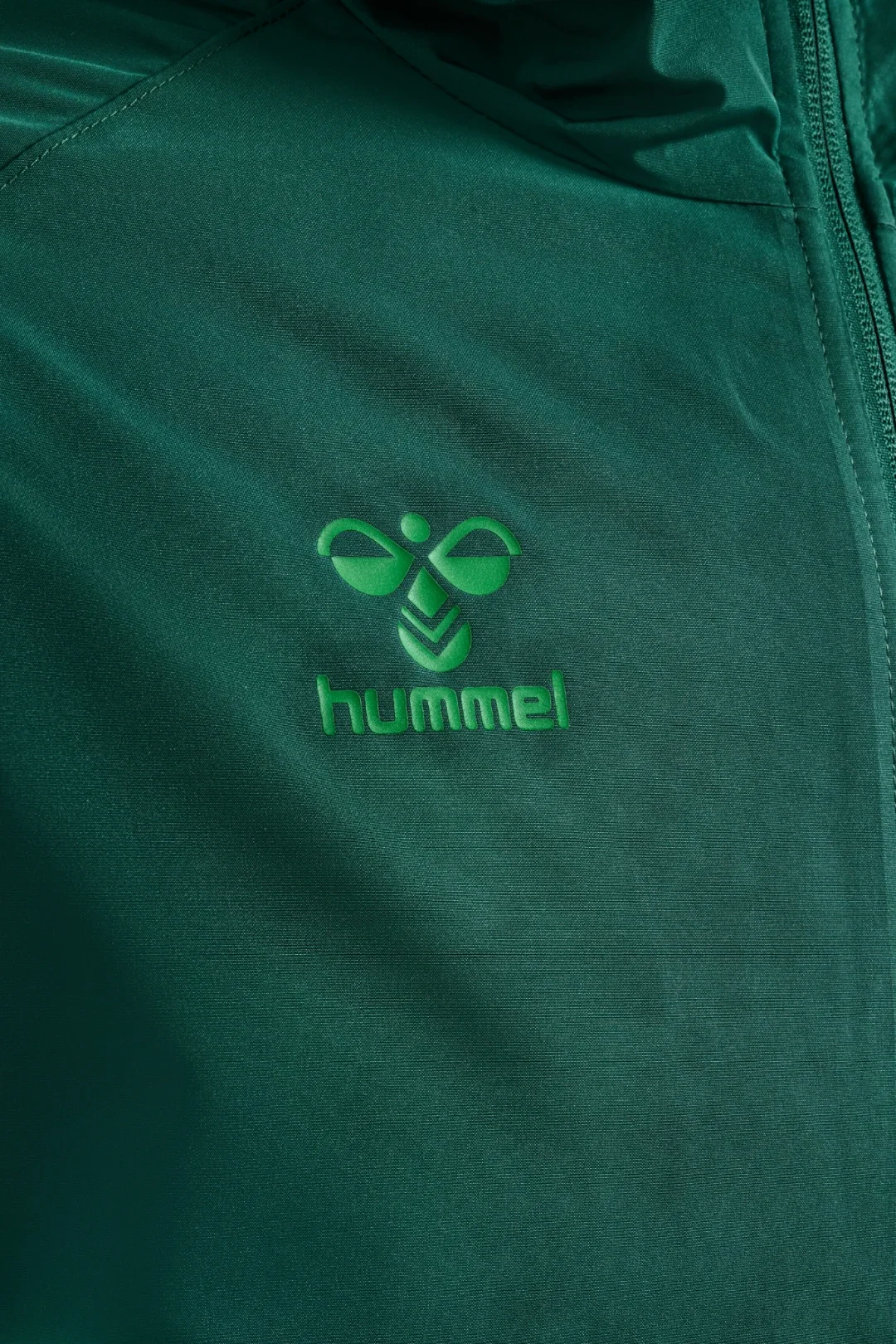 Chaqueta Larga Entrenamiento Adulto Verde Real Betis 26/27