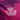 Camiseta Portero Equipación Real Betis 26/27 Adulto Rosa
