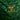 Camiseta Segunda Equipación Real Betis 26/27 Adulto Manga Larga