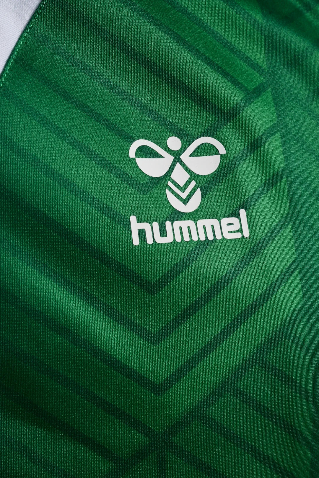 Chaqueta Prepartido Cremallera Real Betis 26/27 Adulto