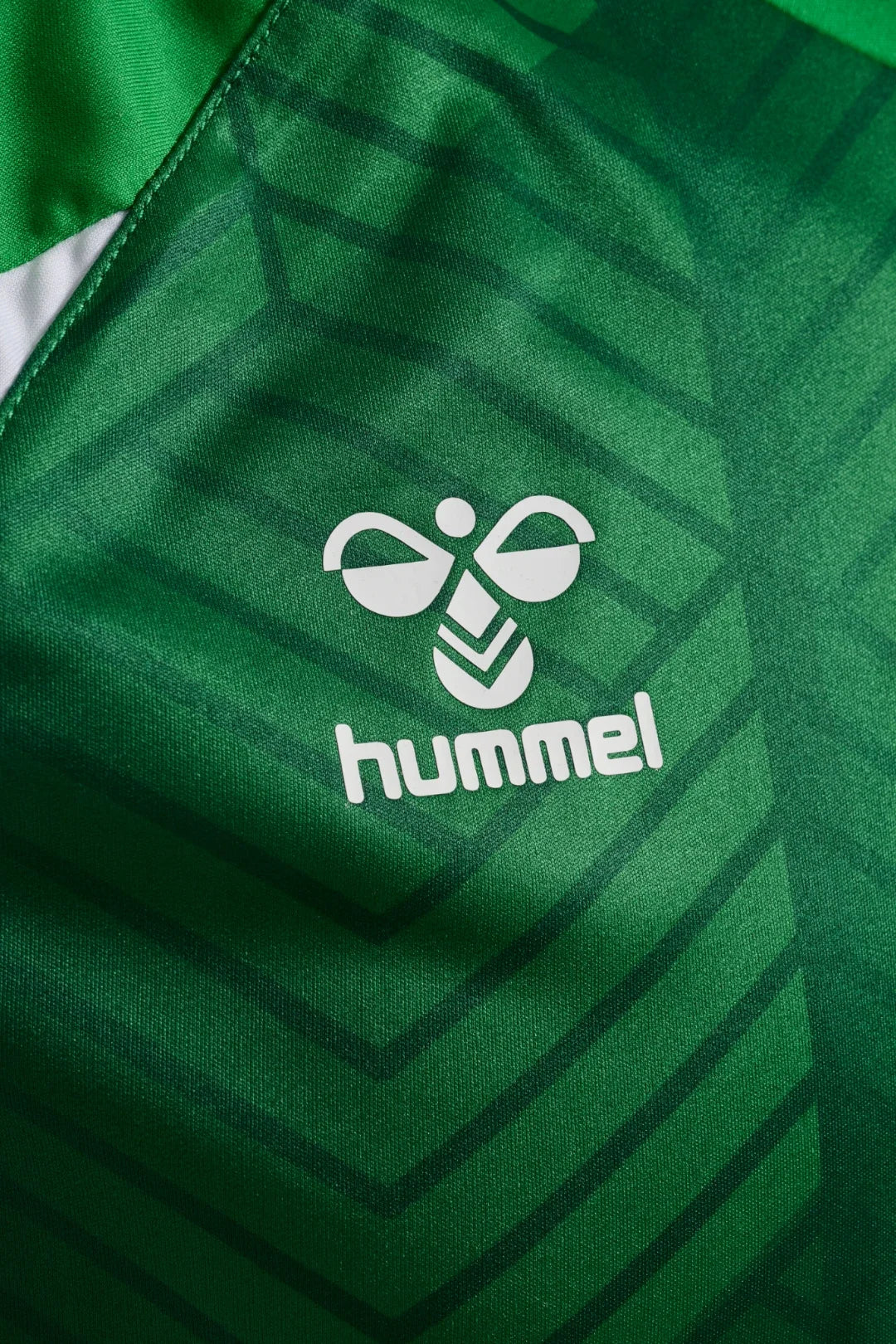 Camiseta Prepartido Real Betis 26/27 Adulto