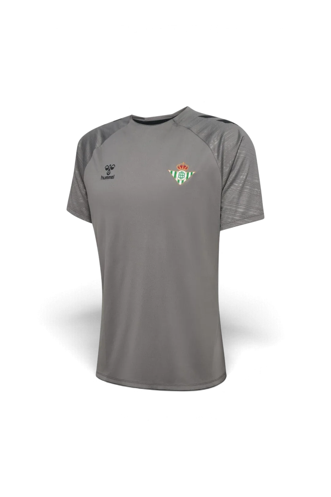 Camiseta Entrenamiento Hombre Gris 24/25