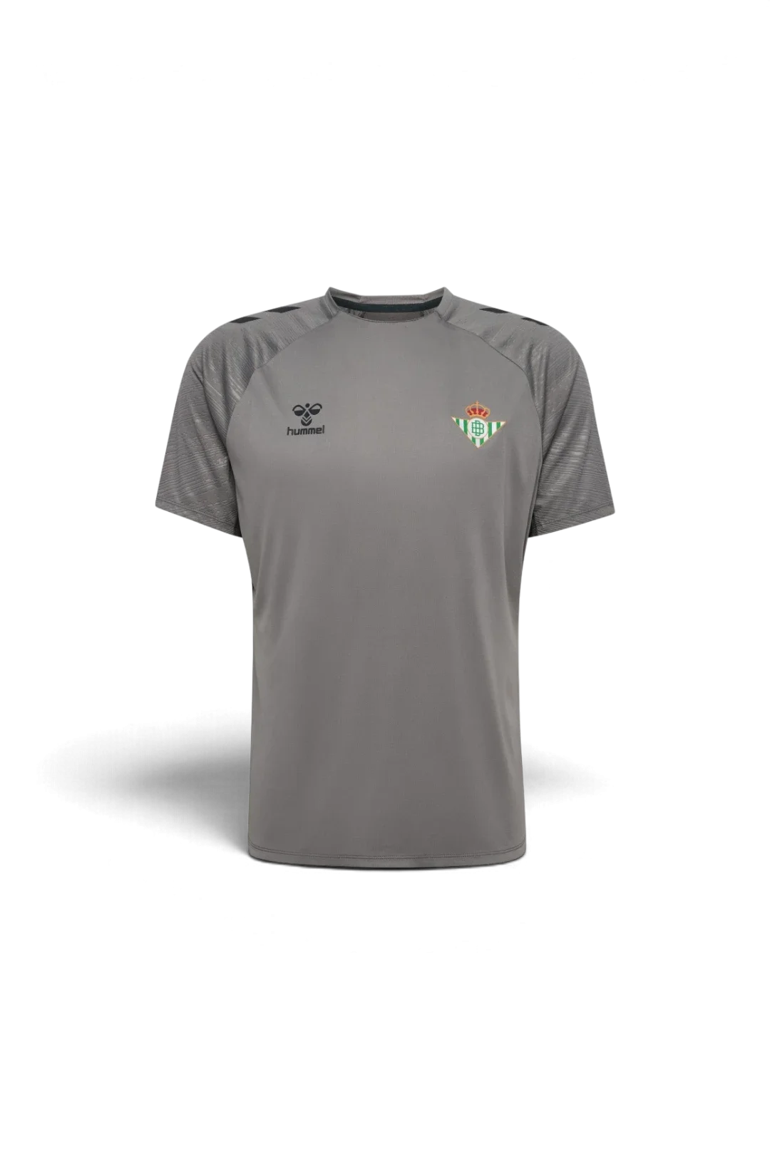 Camiseta Entrenamiento Hombre Gris 24/25