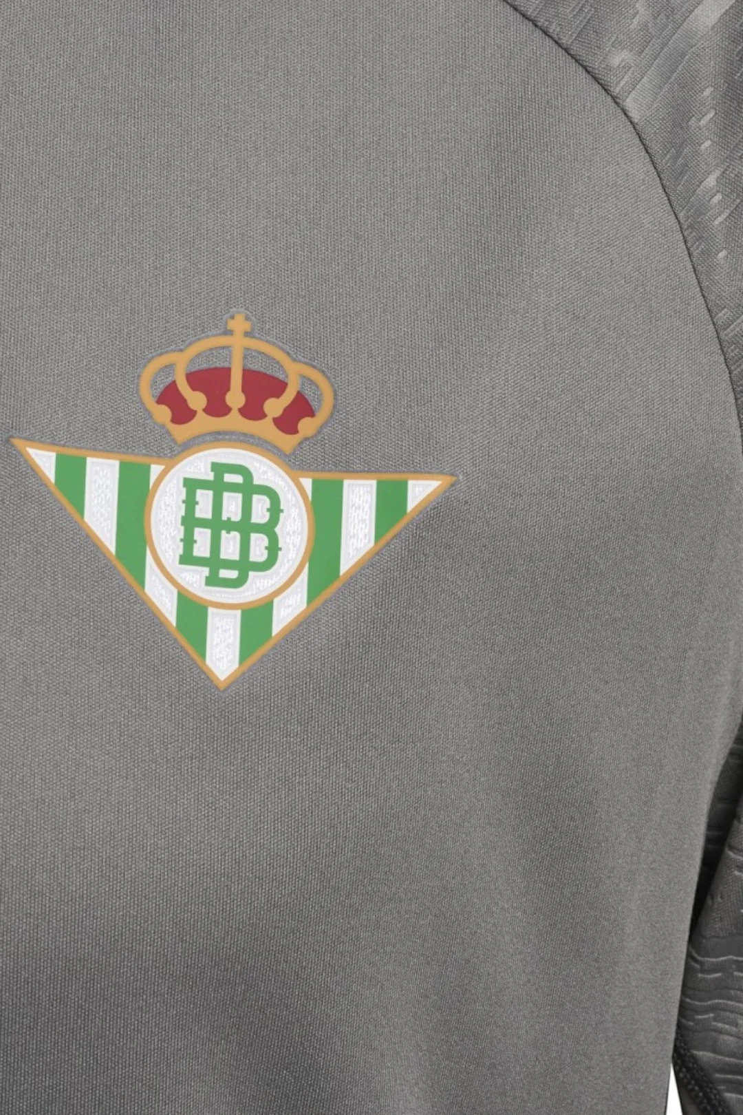 Camiseta Entrenamiento Hombre Gris 24/25