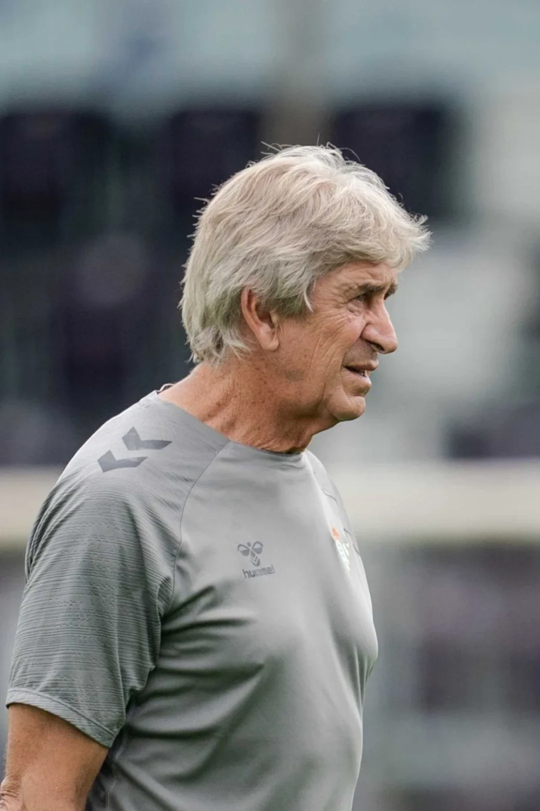 Camiseta Entrenamiento Niño Gris 24/25