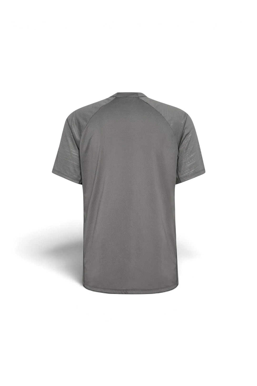 Camiseta Entrenamiento Niño Gris 24/25