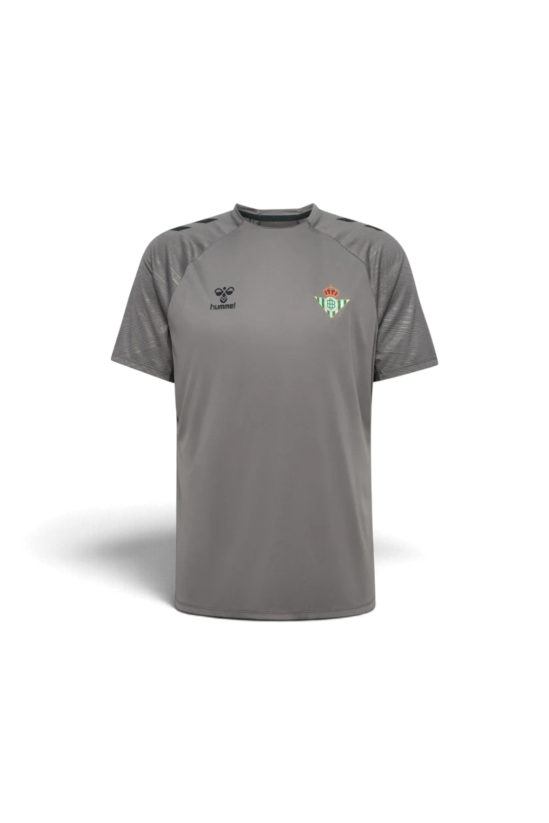 Camiseta Entrenamiento Niño Gris 24/25
