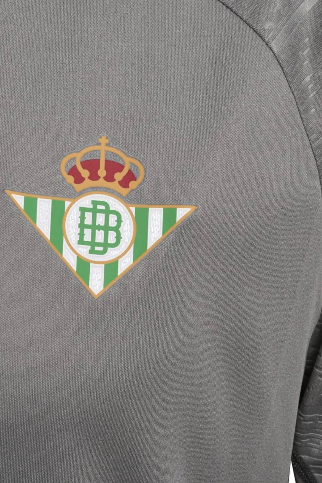 Camiseta Entrenamiento Niño Gris 24/25