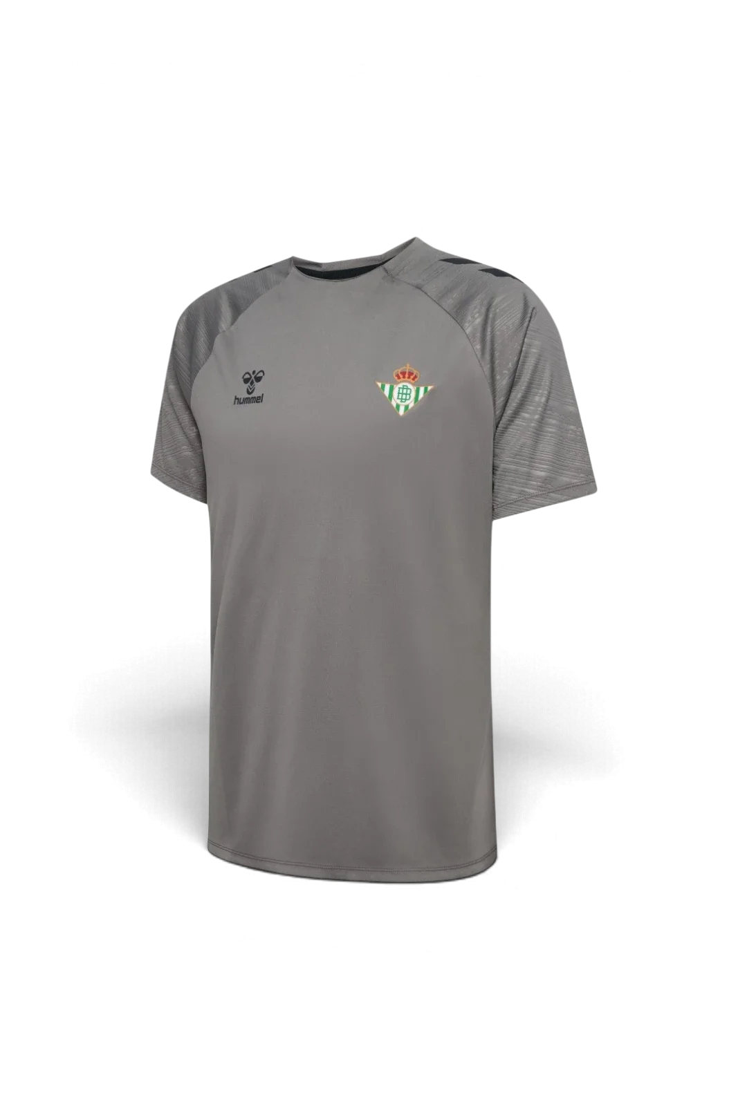 Camiseta Entrenamiento Niño Gris 24/25