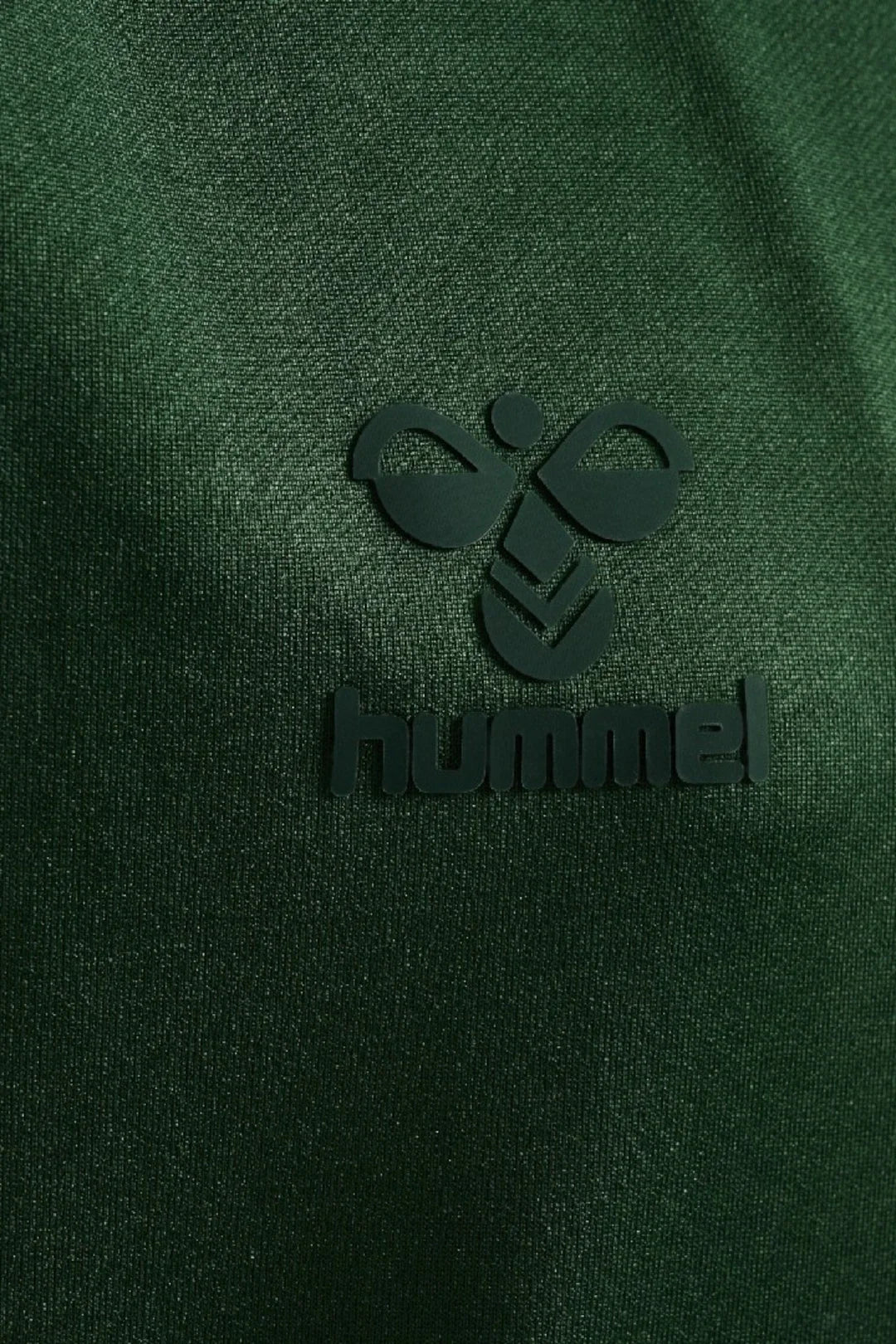 Sudadera Viaje con Cremallera Hombre Verde Oscuro 24/25