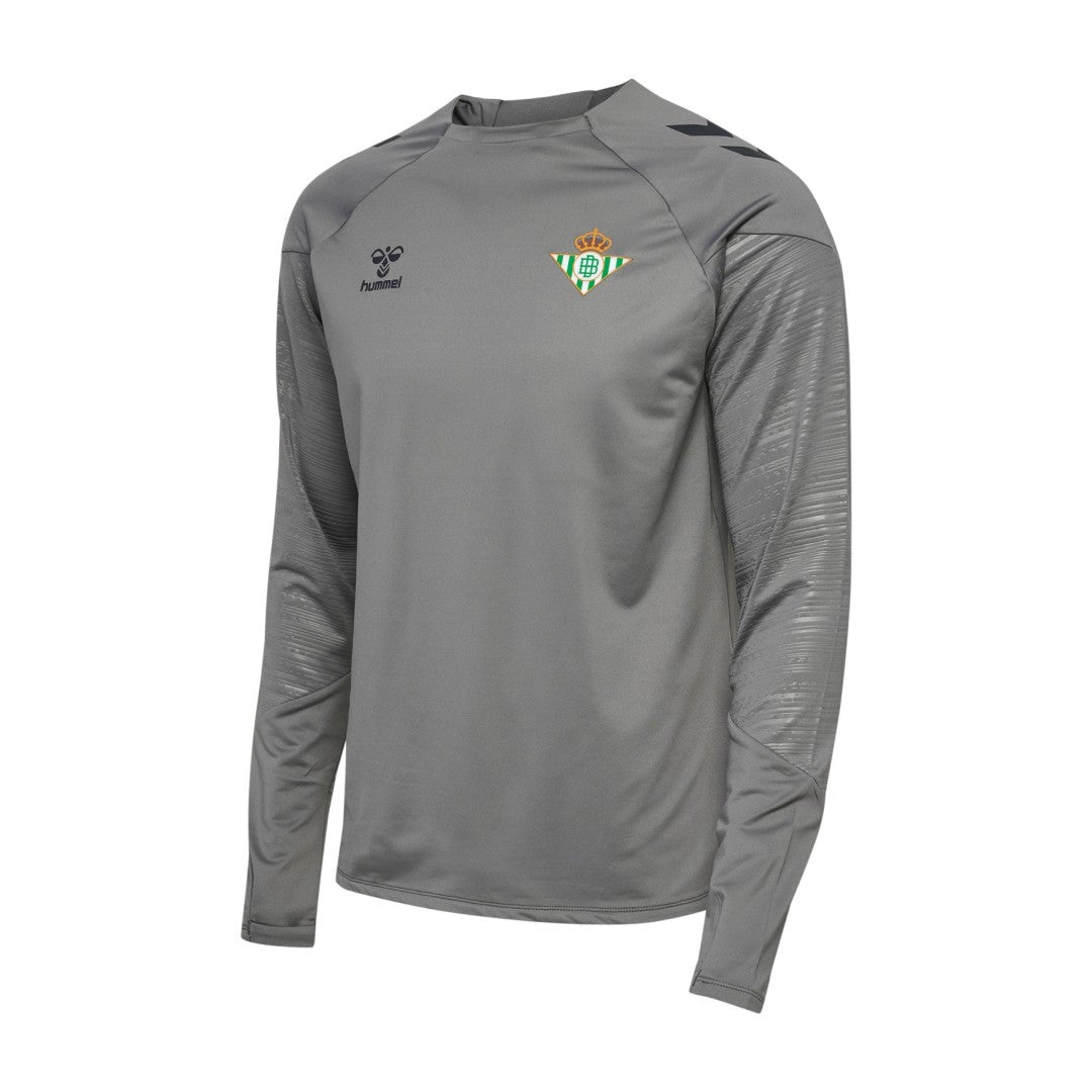 Sudadera Entrenamiento Niño Gris 24/25