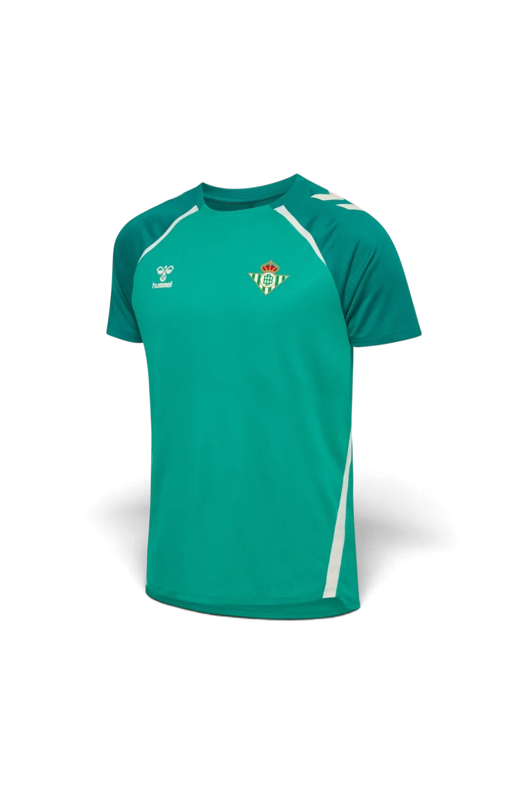 Camiseta Entrenamiento Hombre Verde 25/26