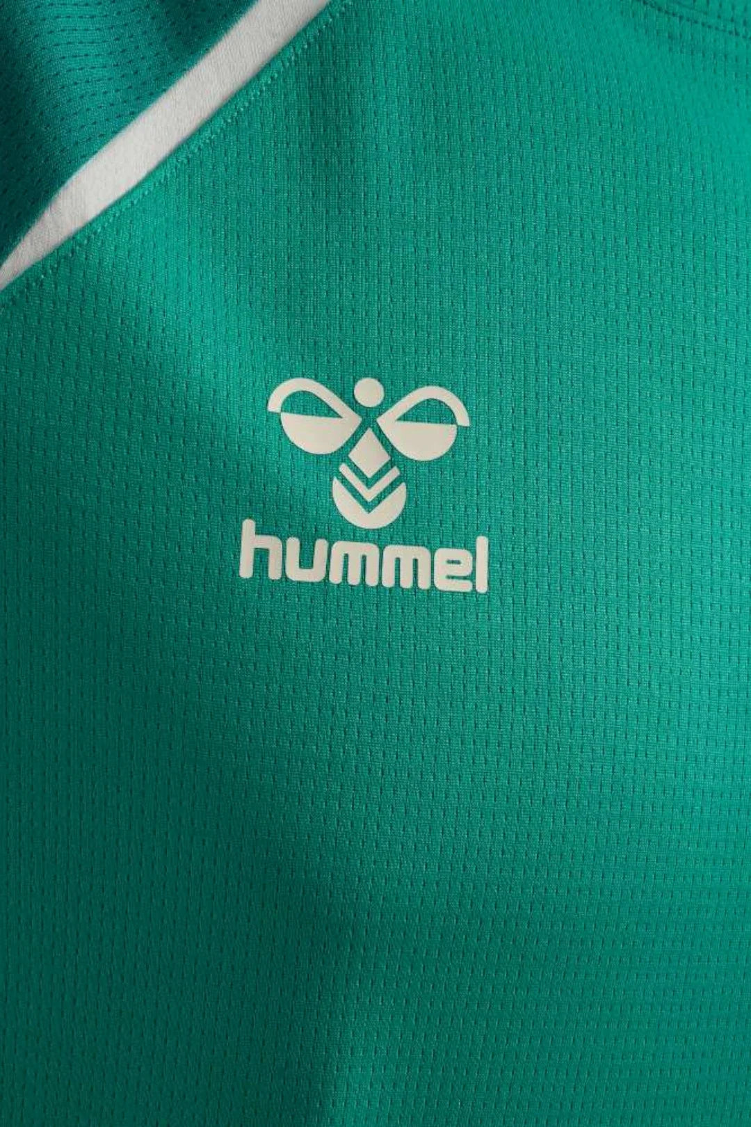 Camiseta Entrenamiento Hombre Verde 25/26