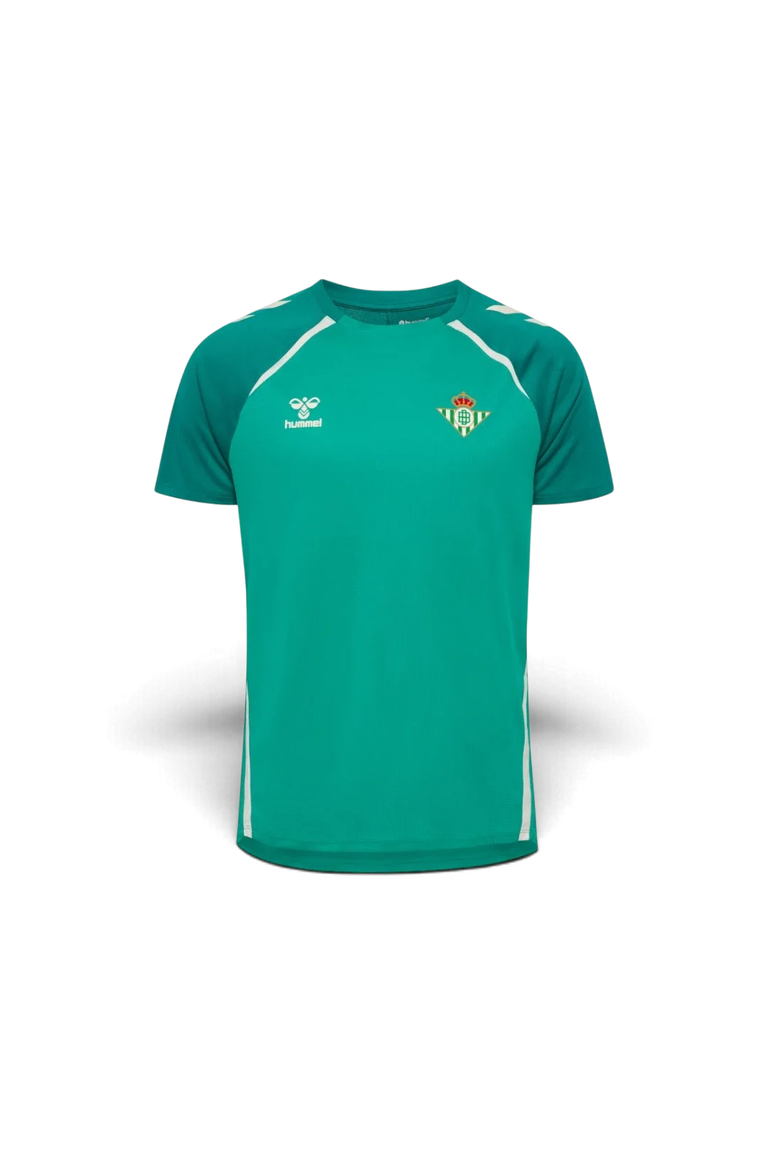 Camiseta Entrenamiento Hombre Verde 25/26