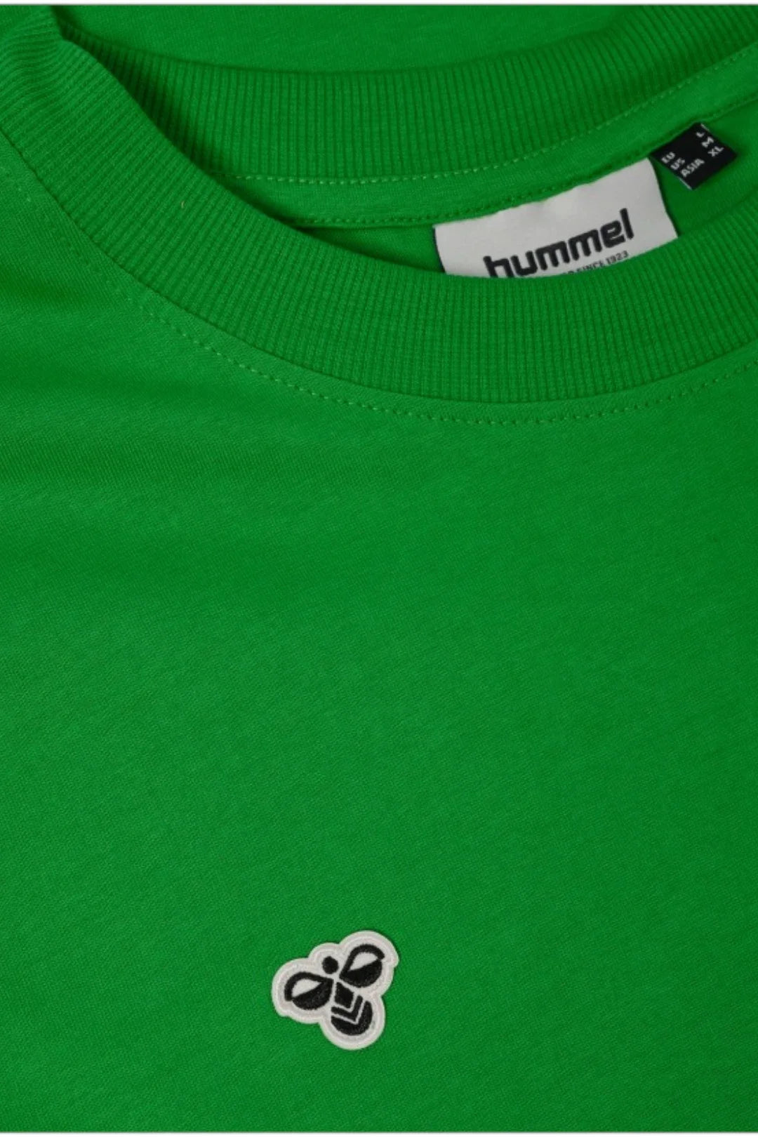 Camiseta Fan Hombre Verde Real Betis