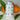 Scientiffic Nutrition Multivitamin chewable 90tabs Naranja