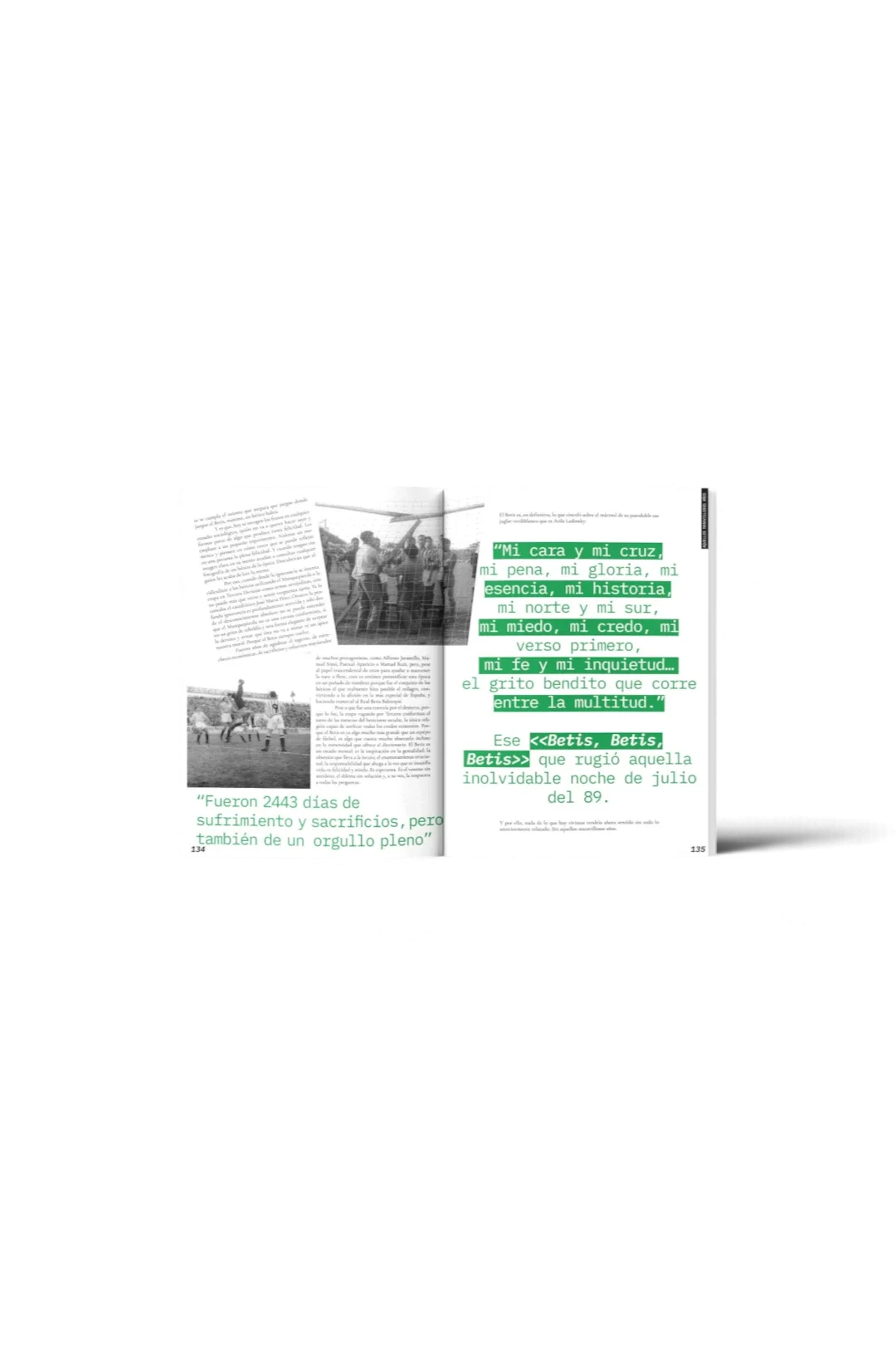 Libro Monográfico "BETIS"