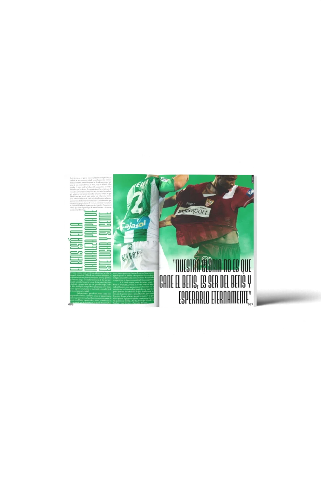 Libro Monográfico "BETIS"
