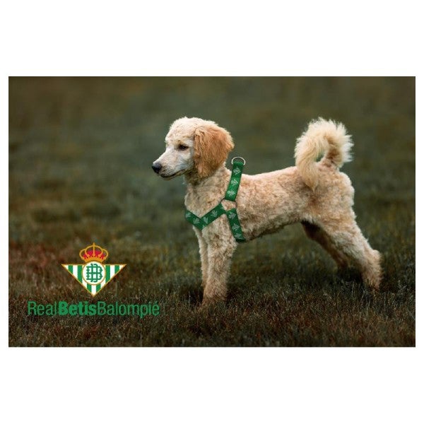 Arnes para Perros