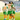 Camiseta Real Betis Balompié Forever Green Hombre 25/26