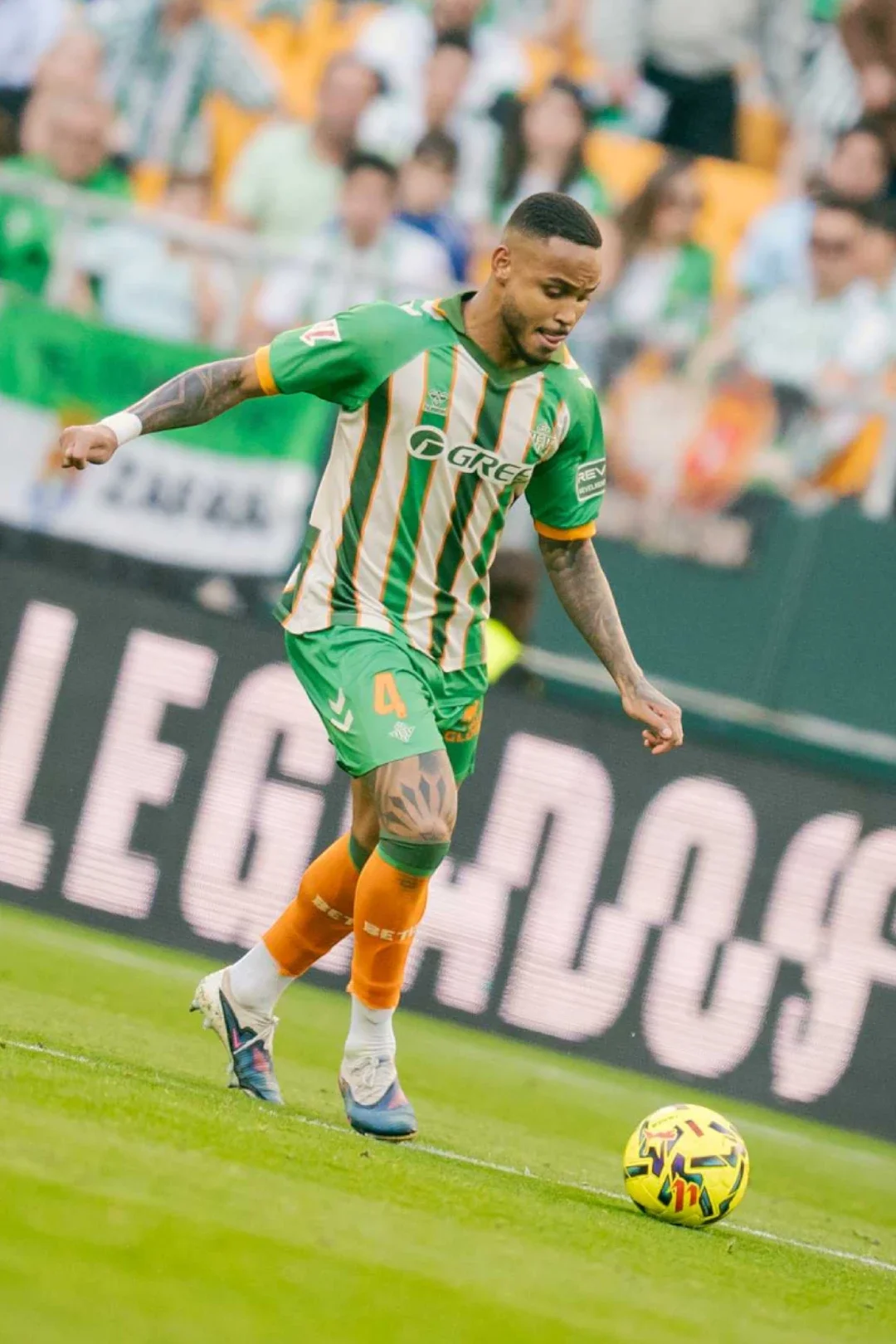 Camiseta Real Betis Balompié Forever Green Hombre 25/26
