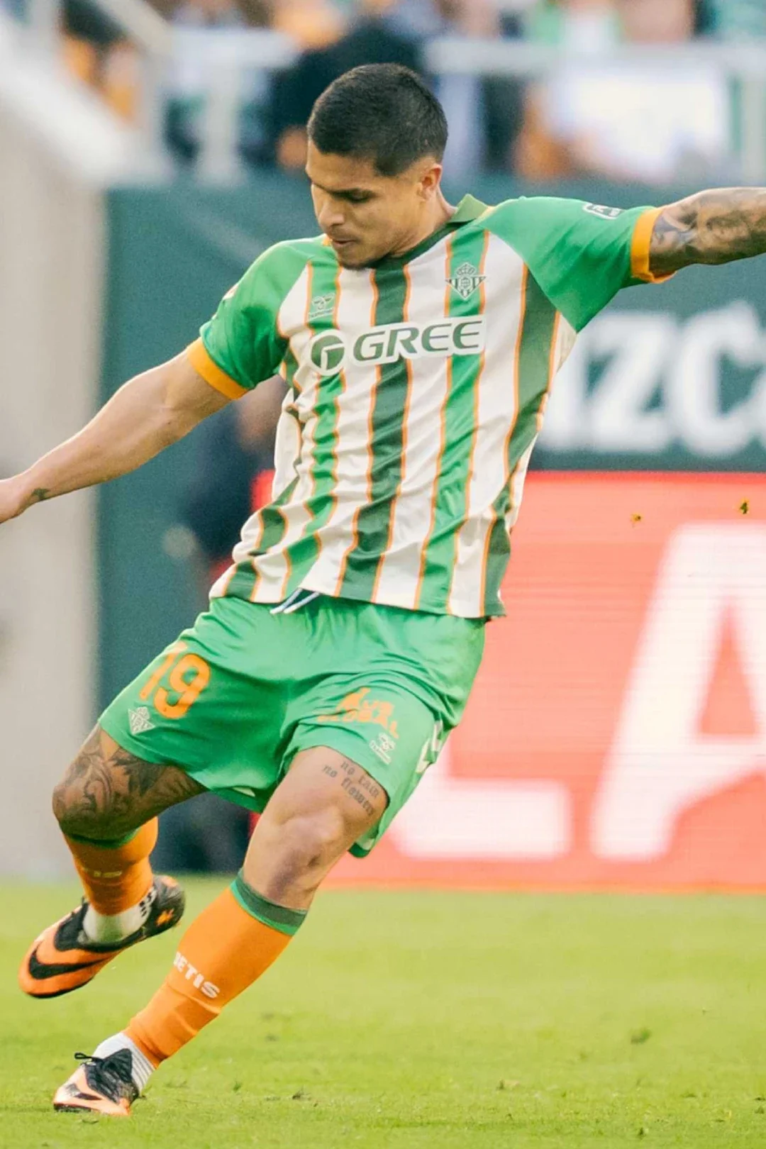 Camiseta Real Betis Balompié Forever Green Hombre 25/26
