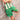 Pantalón Corto Real Betis Balompié Forever Green Hombre 25/26